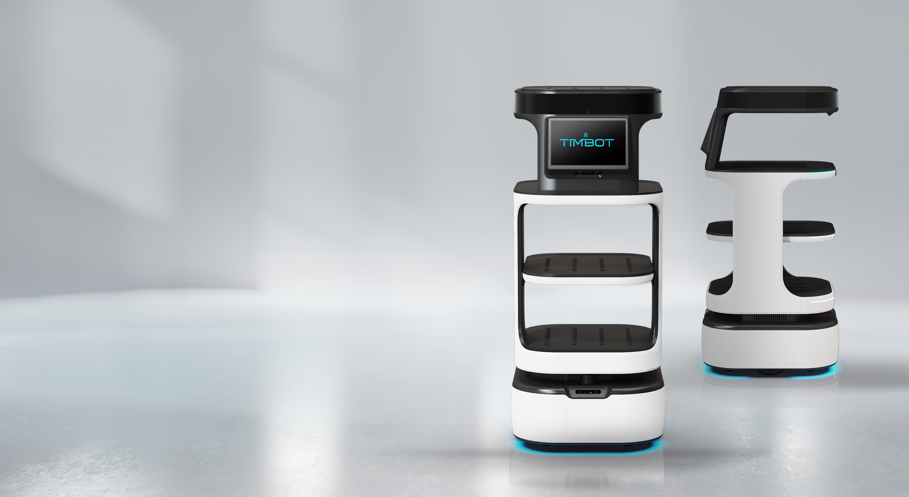 TIMBOT-S